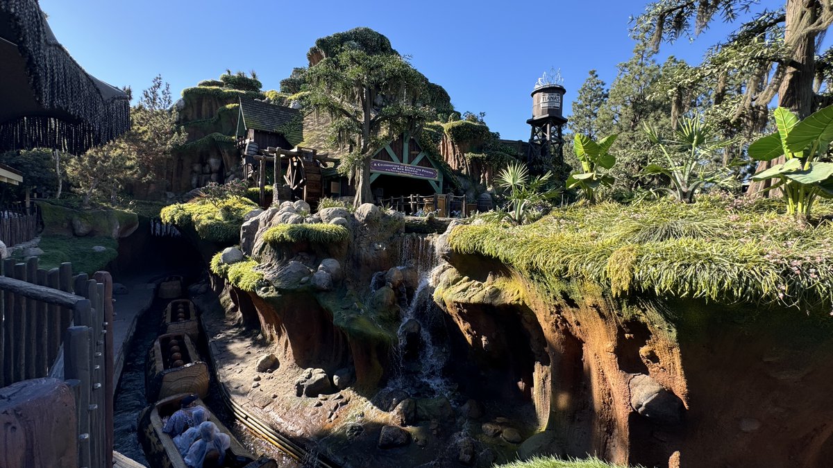 Fresh Baked! tweet media