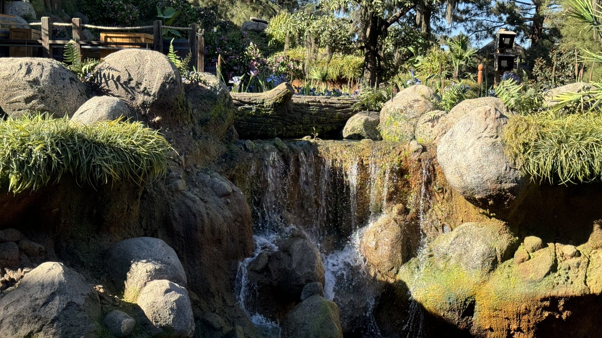 Fresh Baked! tweet media