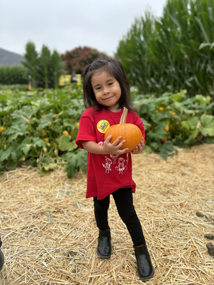 oxnardrec's tweet photo. ππ Tiny Tots kicked off the fall season with a pumpkin-filled adventure at the Pumpkin Patch! Our little explorers had fun picking pumpkins, playing in the patch, & soaking up the autumn vibes. πCheck out all the cuteness in our photos! πΈπ§‘ #FallFieldTrip #PreschoolAdventures https://t.co/Y5W5JbipKQ
