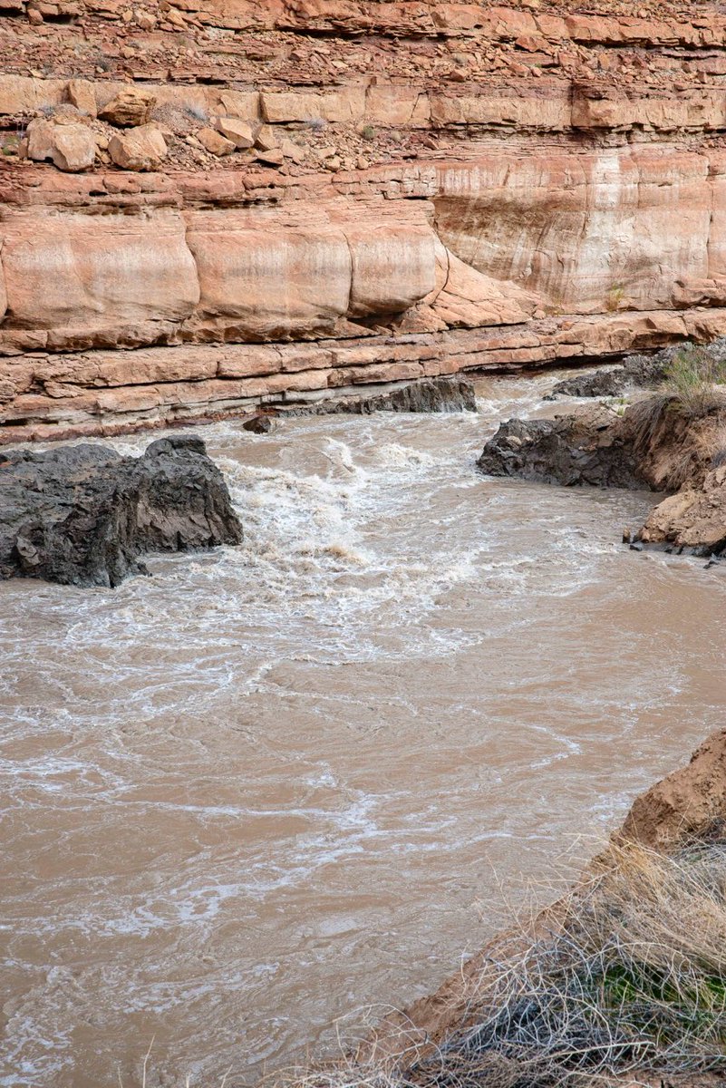 The mud slump in Narrow Canyon we reported on 11/1 has happened again. The expanded "mud rapid" may be a Class IV or IV+. Boaters, please approach with caution &amp; wear PFDs between Dark Canyon and North Wash access point. Photo by S. Waeschle, Nov 8.