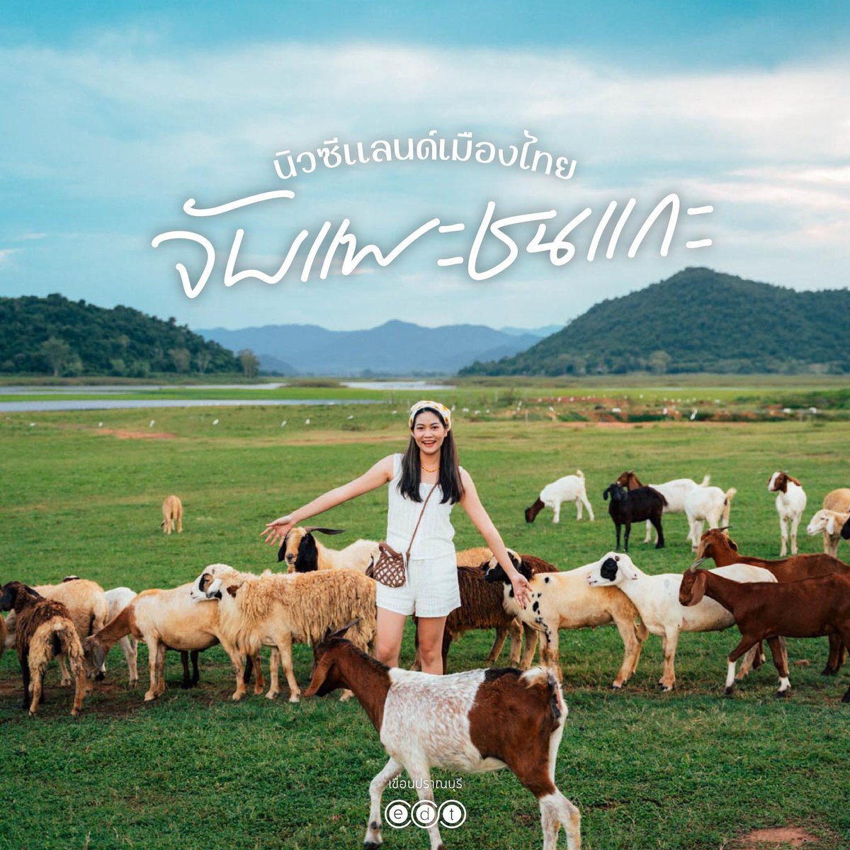 edtguide tweet media