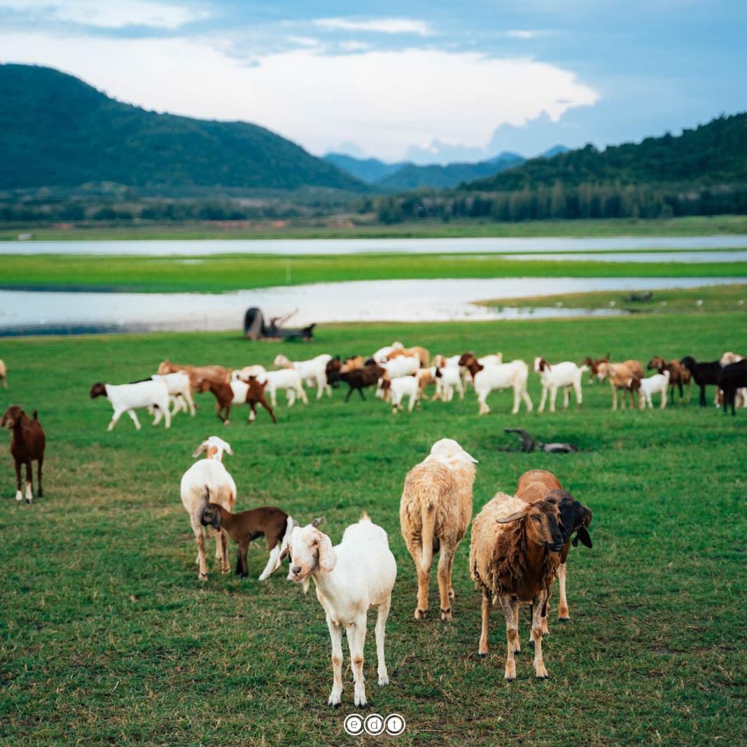 edtguide tweet media