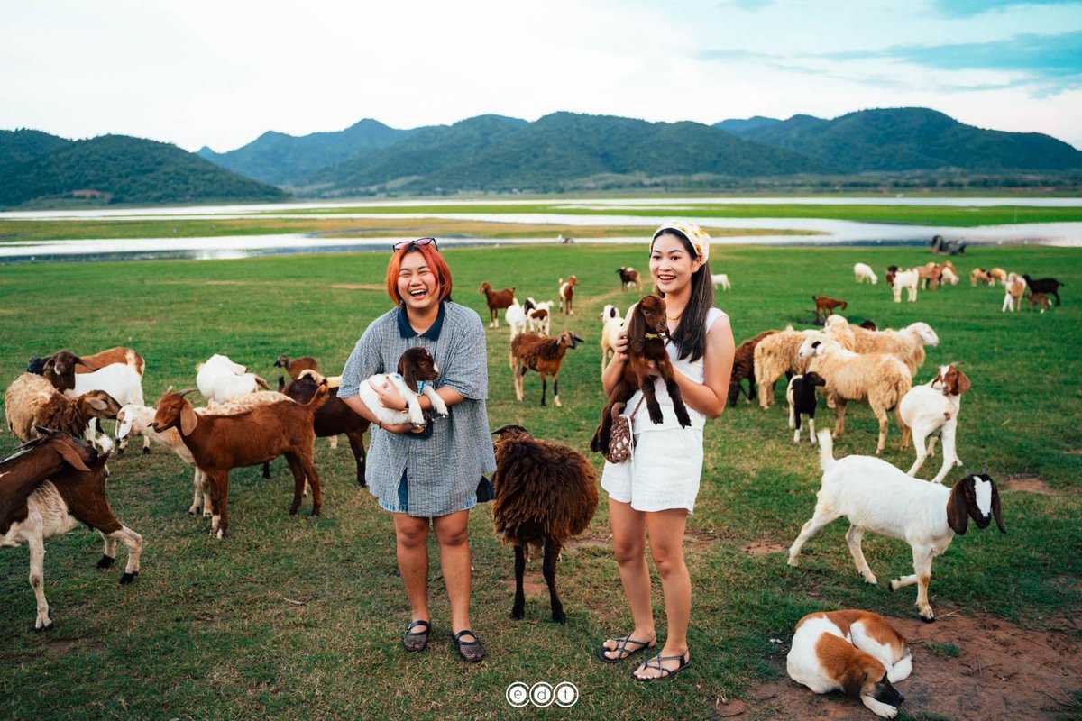 edtguide tweet media