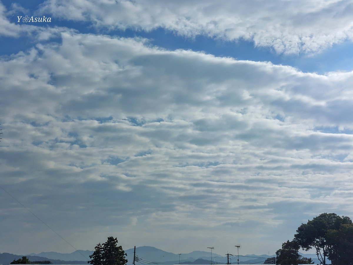 yumeasutw's tweet photo. 空一杯に広がる #高積雲 の雲間から青空が覗き始めた木曜日の朝☁️

予想最高/最低気温🌡️20℃/10℃
曇り時々晴れ☁️/☀️
段々日が差し午後は南寄りの風がそよそよ過ごしやすく、朝晩は雲が多く寒暖差に御用心🌡️

#イマソラ #いまそら
#空の名前
#天気の図鑑 #雲の超図鑑
#a2024 #a1114 #a202411 #a2024113 https://t.co/m8c0GxP3Gf