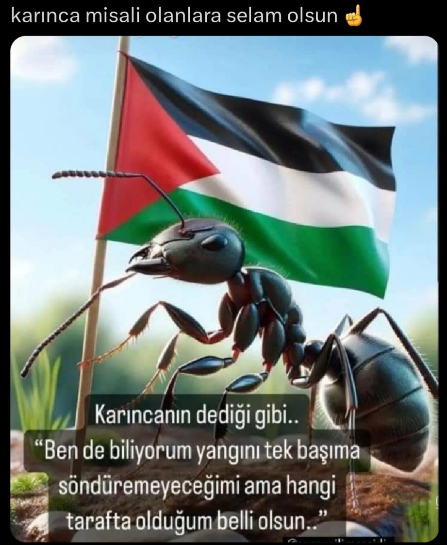 Murat Değirmenci (@muratdgrmenci68) on Twitter photo 