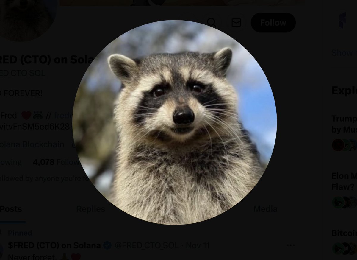 SecondBTC tweet media