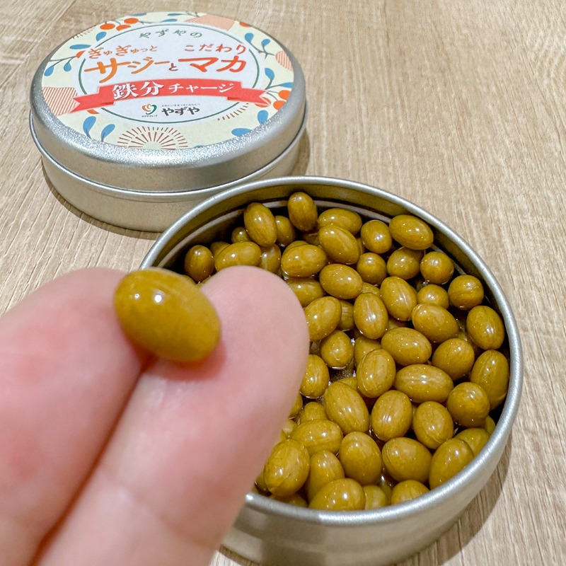 ある時だけ20個入／新品✨】無選別おしゃぶりするめチップ 100g×20