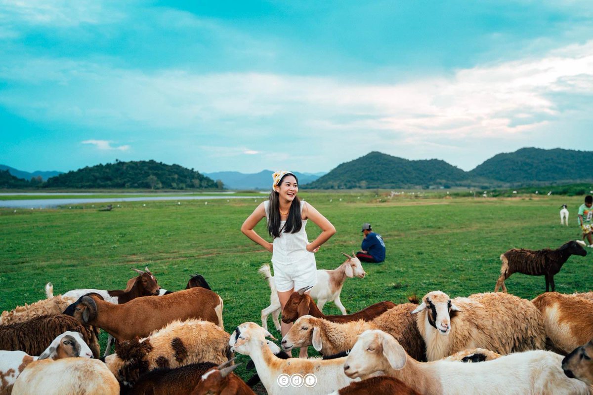 edtguide tweet media