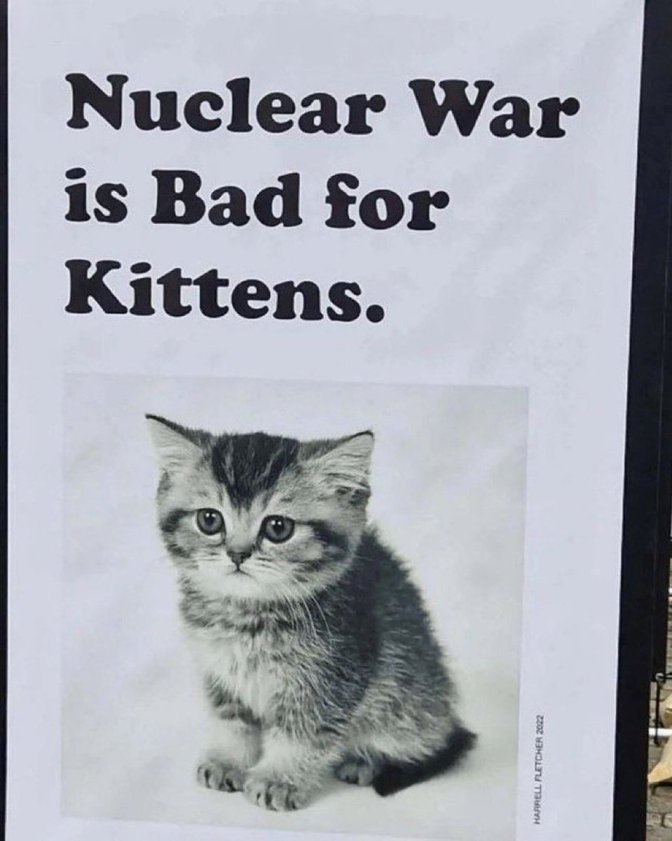 Punch Cat tweet media