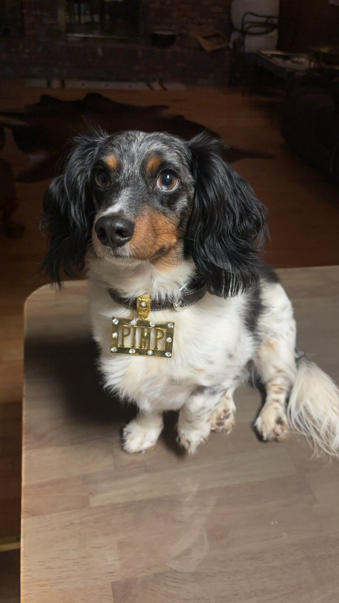 Tell your mom Huck said hi