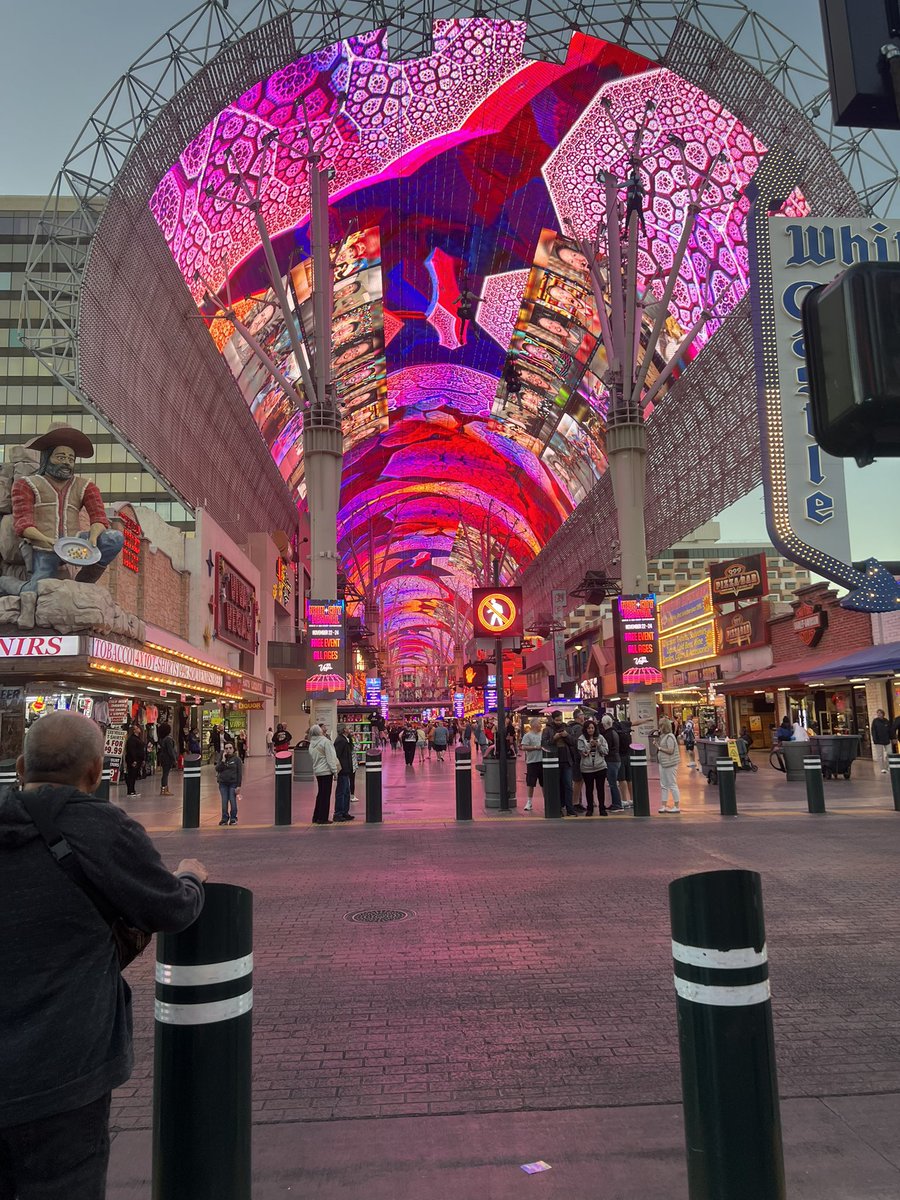 Vegas is treating me right so far #OPNation