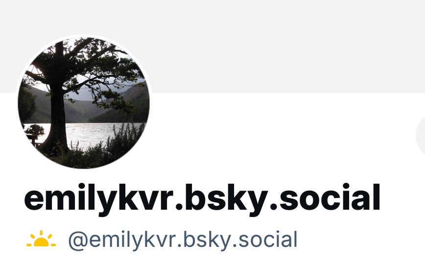 Emily VR tweet media