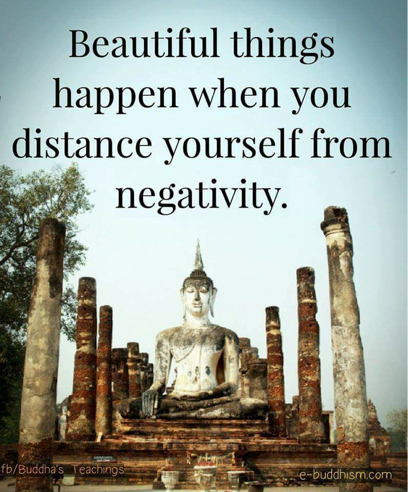 multidtech's tweet image. 