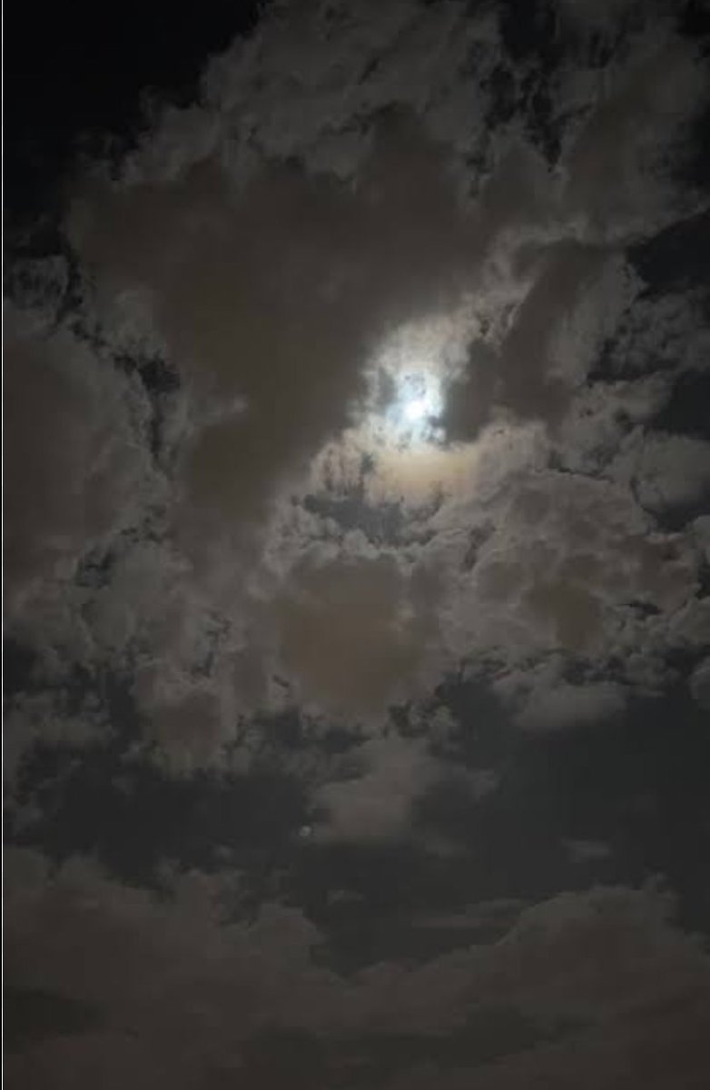 bedo1102003's tweet photo. Silent and beauty✨ https://t.co/b8uhk35RZA