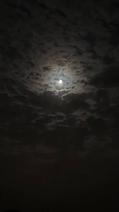 bedo1102003's tweet photo. Silent and beauty✨ https://t.co/b8uhk35RZA