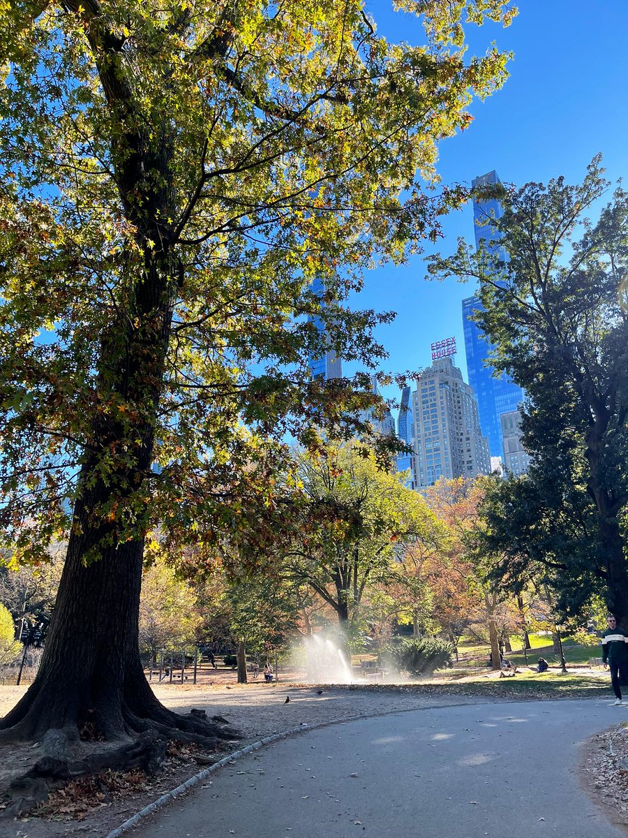 Robyn Hobson Hillhouse 🇿🇦 tweet media