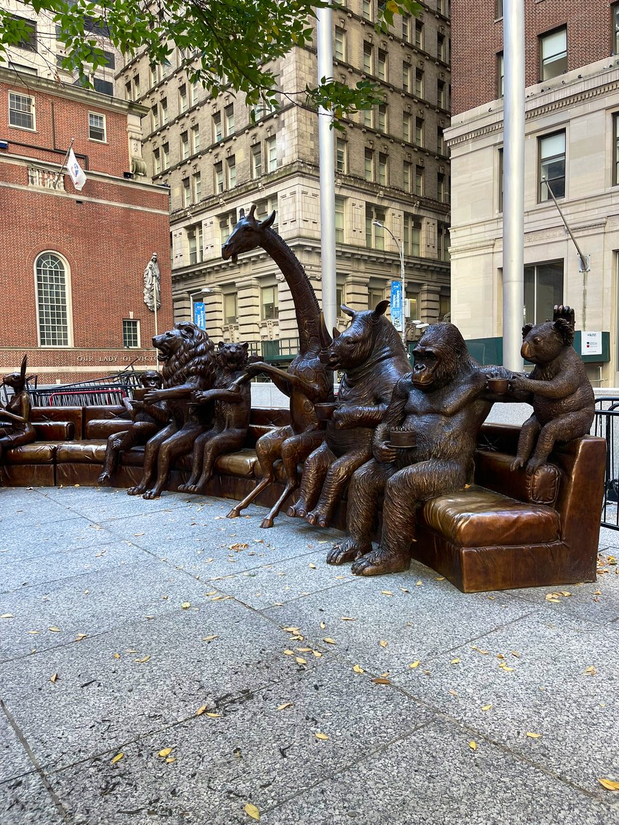 Robyn Hobson Hillhouse 🇿🇦 tweet media