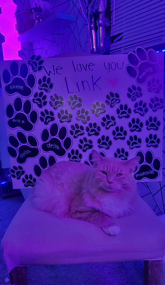 We hit the goal for his surgery 🩷I’m so incredibly grateful for all the love and support from everyone. Link and I appreciate you all more than words can say! 🩷😺

Now for the fun part...the Zelda Marathon continues!!