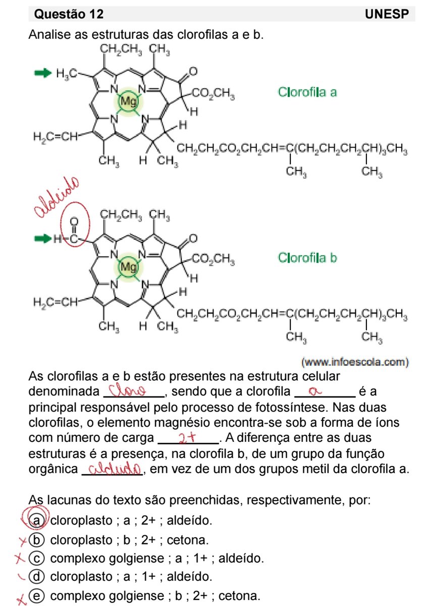 studywithus0's tweet image. biologia e química