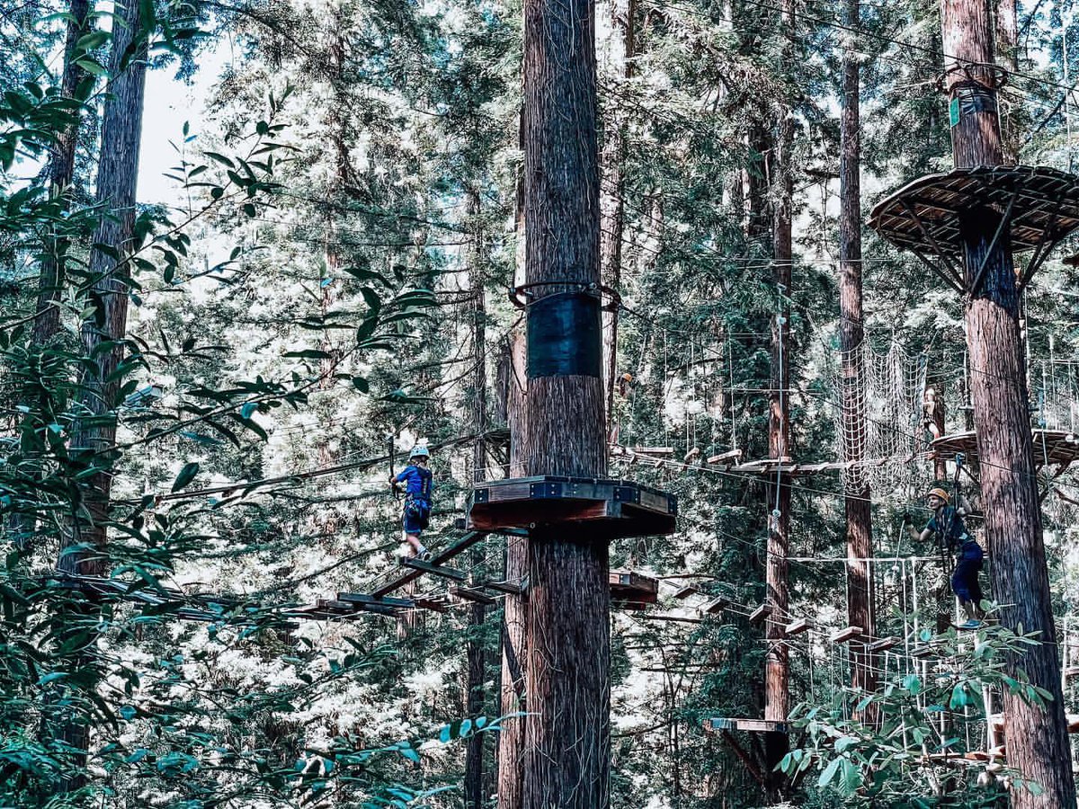 parkerpeevy's tweet photo. I did this ropes course and fell to my death just as I’d suspected I would and now I’m an angel. https://t.co/RCg2FoqHRD