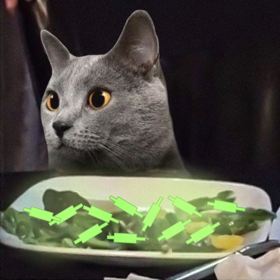 Chartreux Cat tweet media