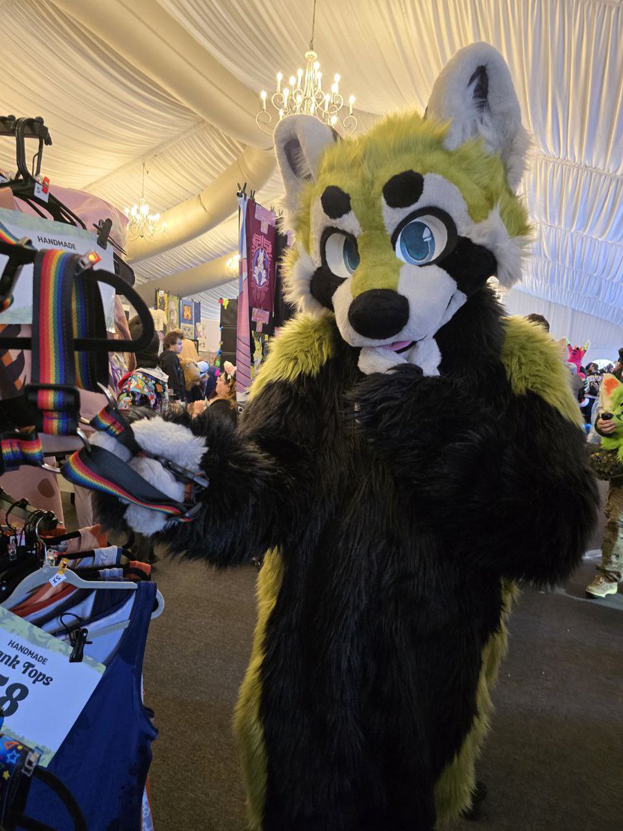 StrummerWah's tweet photo. Looking for just the right fit for the holidays at @FurpocalypseInc 
#wahwednesday #FursuitEveryday #furry 
@MiniBossMascots https://t.co/0XZQl4ICWL