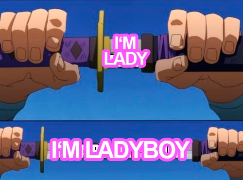 This is the ladyboy cycle darlings~ (o^▽^o)