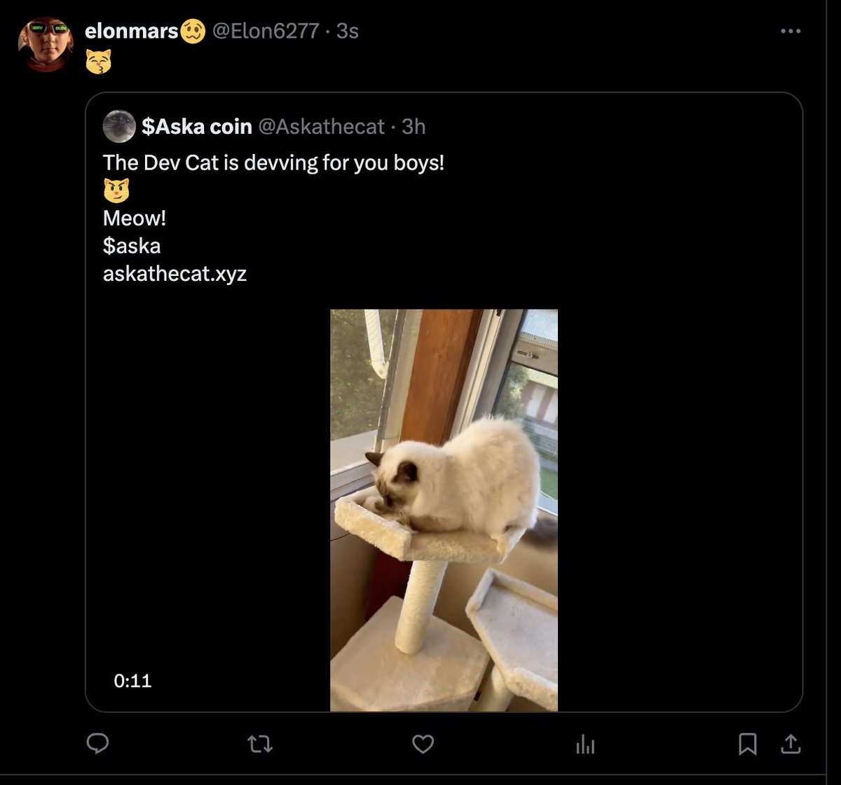 elonmars🥴 tweet media