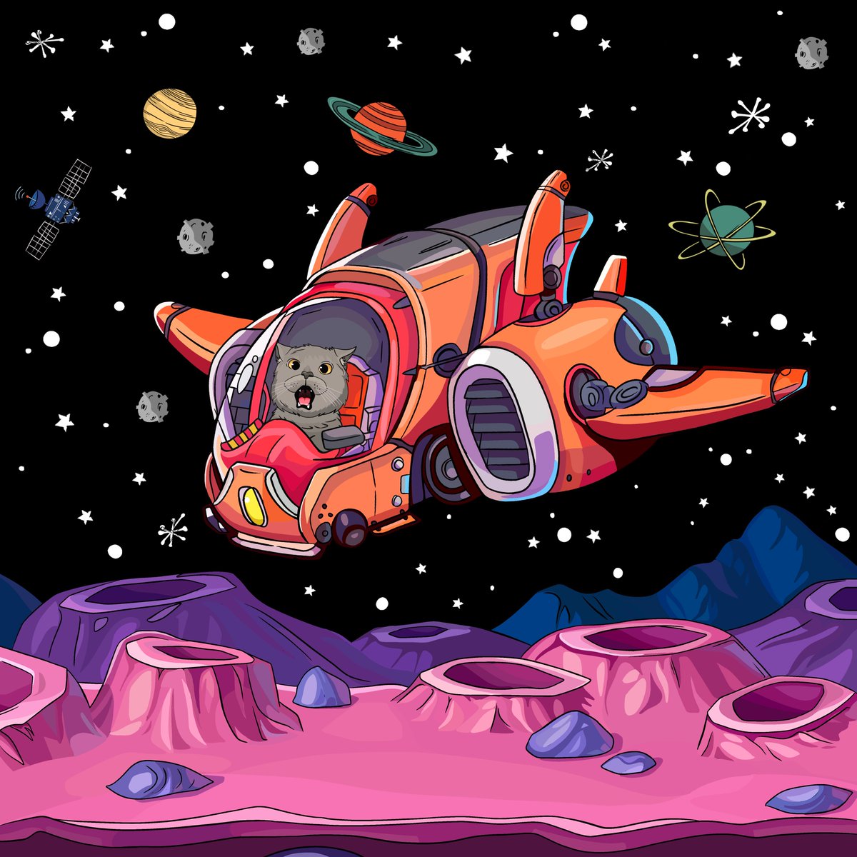 Chartreux Cat tweet media