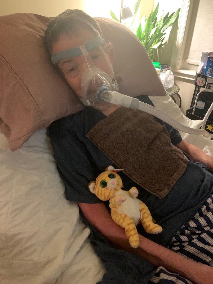 Steven Gallagher tweet media