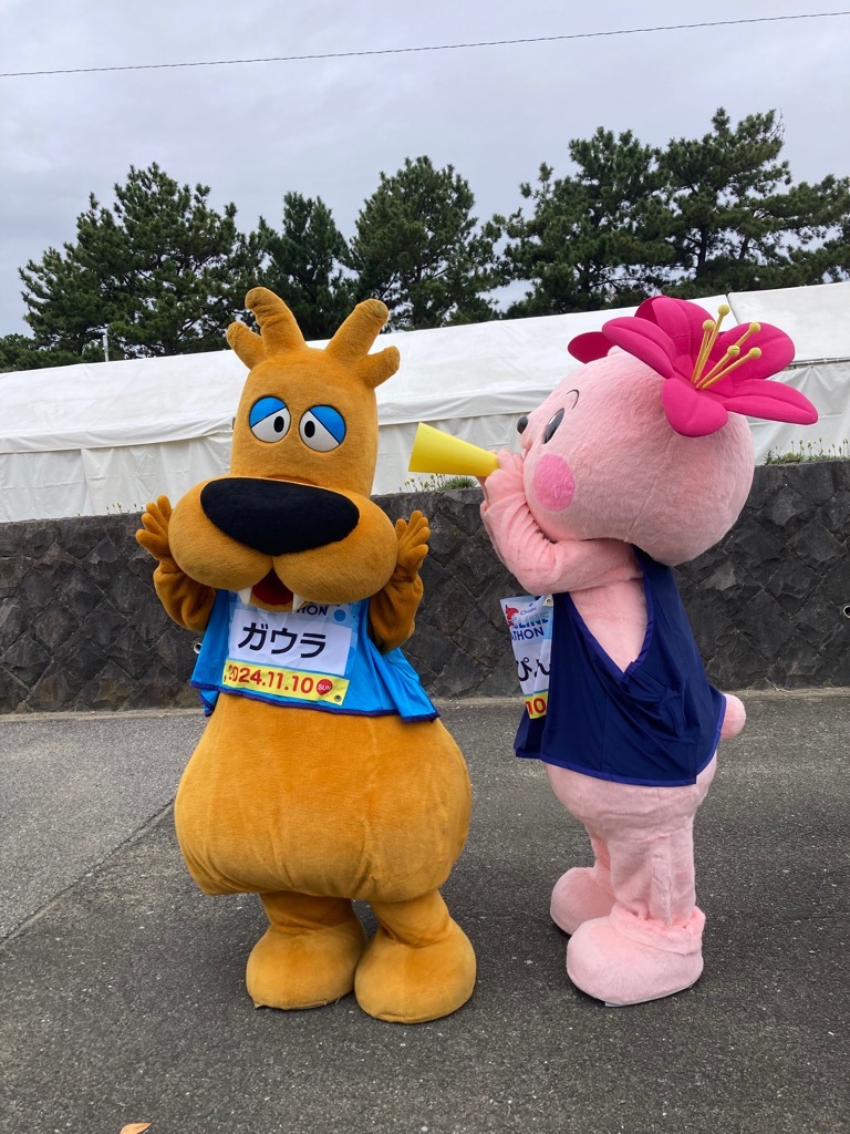 kimipyonn's tweet photo. ガウラくん！
＼お誕生日おめでとーう！！／
素敵な一年を過ごしてね°˖✧◝(⁰▿⁰)◜✧˖°

#ガウラ #きみぴょん #袖ケ浦市 #君津市 https://t.co/RVjcgpnets