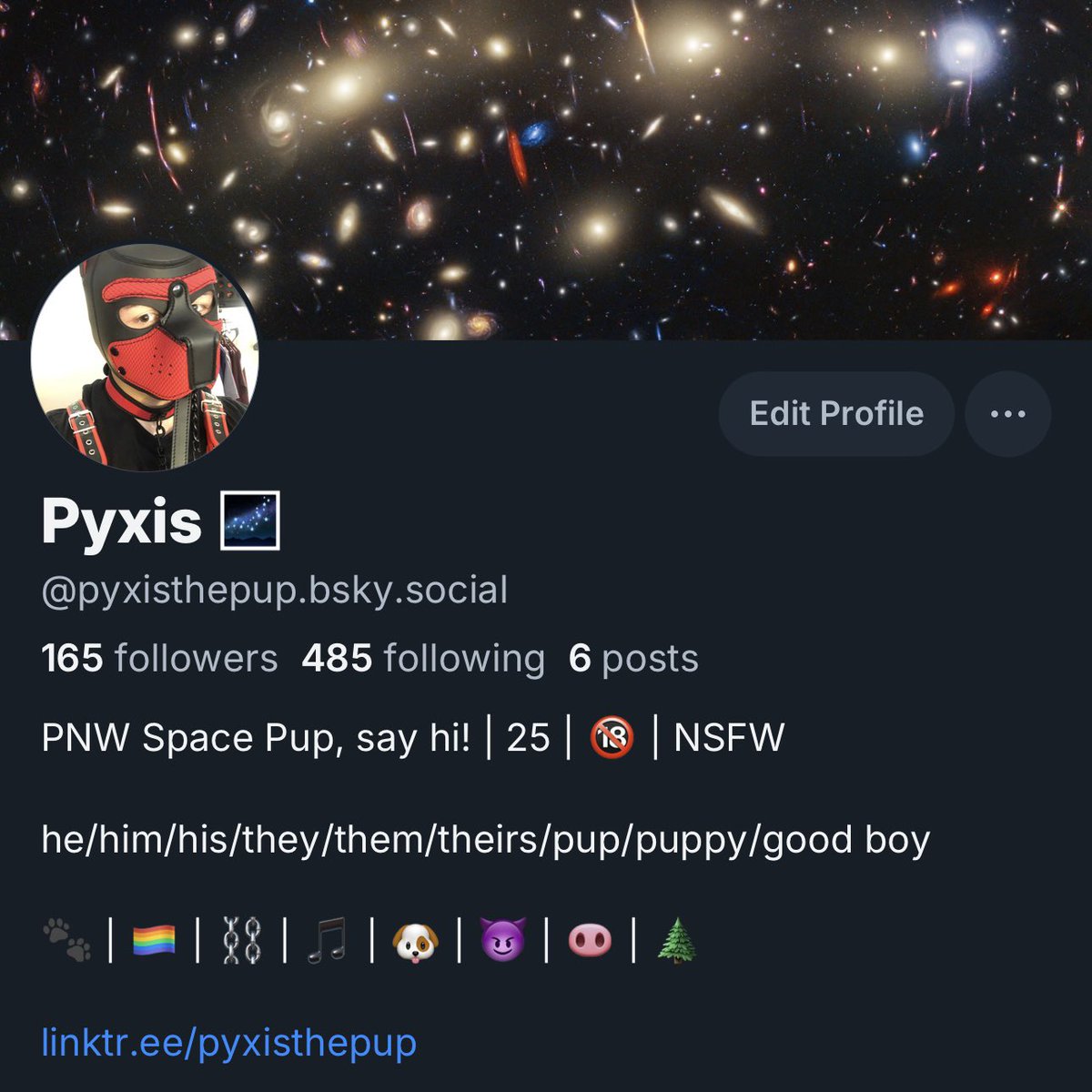 PyxisThePup (@PyxisThePup) / Posts / X