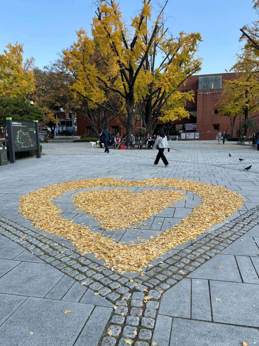 This Seoul street art reflects my mood. Thanks to Dr. Yong-Seok Lee for connecting me with brilliant researchers in Korea. Scientists everywhere are dedicated to truth, facing similar challenges. This shared pursuit unites us beyond borders.