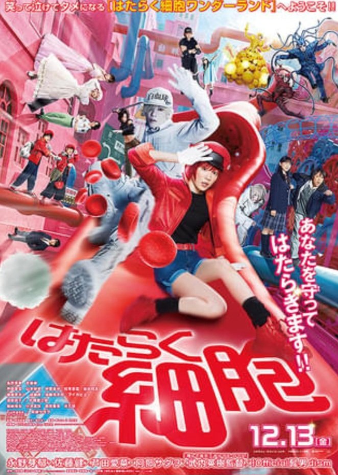 7FjVjXoW7VlHvUQ's tweet image. はたらく細胞実写　
#佐藤健さん 　#永野芽郁