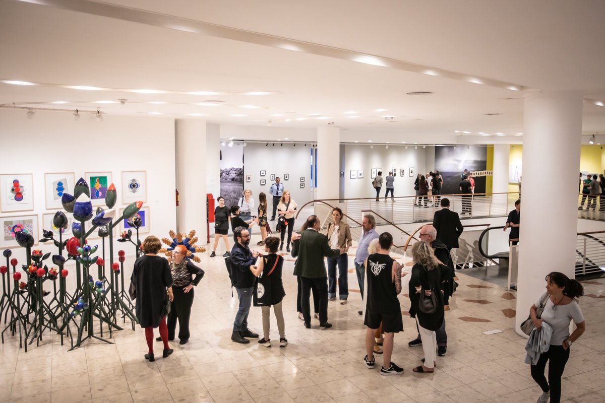 Leonardo Cifelli tweet media