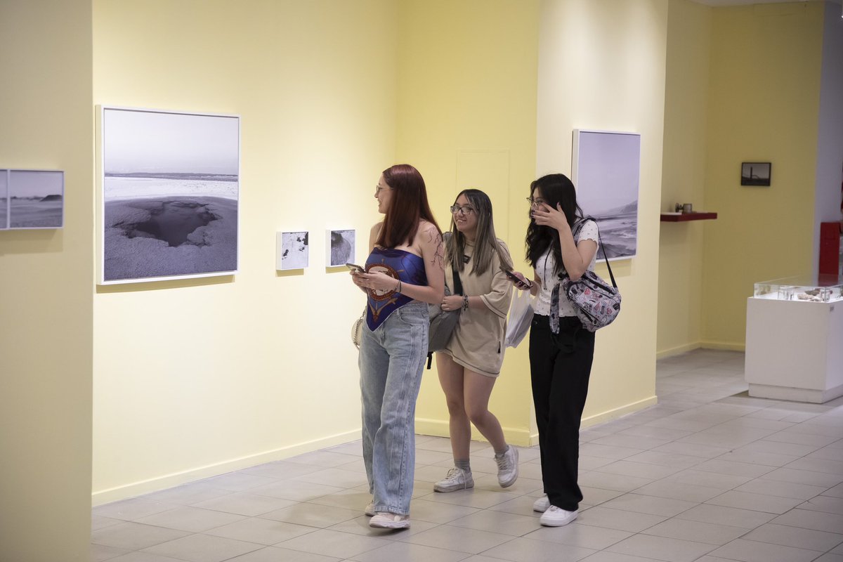 Leonardo Cifelli tweet media