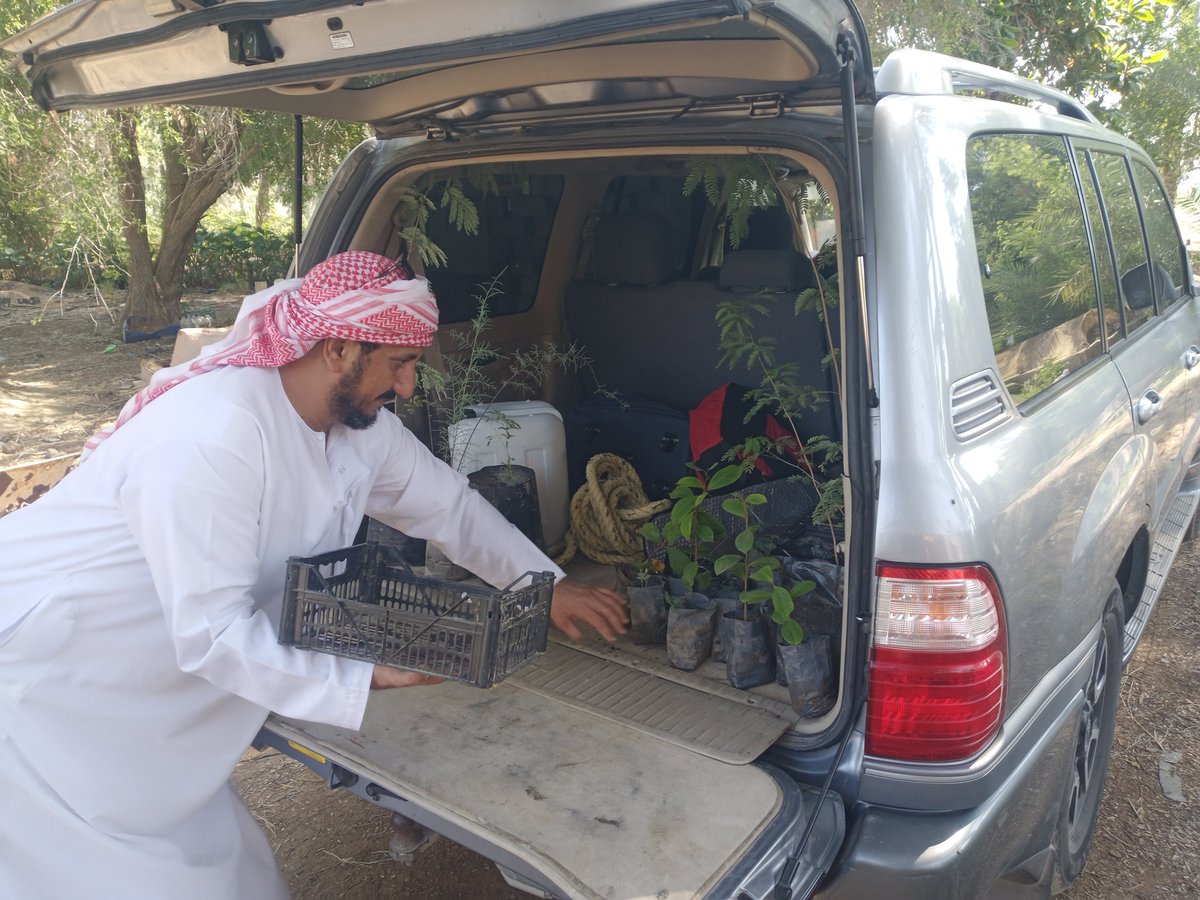 mhzmmi's tweet photo. لايزال الناشط النشيط الاستاذ عبدالله الذهلي عضو @SidrOmanجمعيةالسدر العمانيةمستمرافي جهوده  ويتسلم شتلات  بريةمن #مبادرة_المحزم   ولاتزال @AlfiSchool مدرسة الفي تغرس وتوزع الاشجارالبرية فمبارك لهم هذا الجهدالمتواصل @ea_oman @burmunicipality @alburaimigov #فعاليات_تعليمية_البريمي https://t.co/SYGg08HUVA