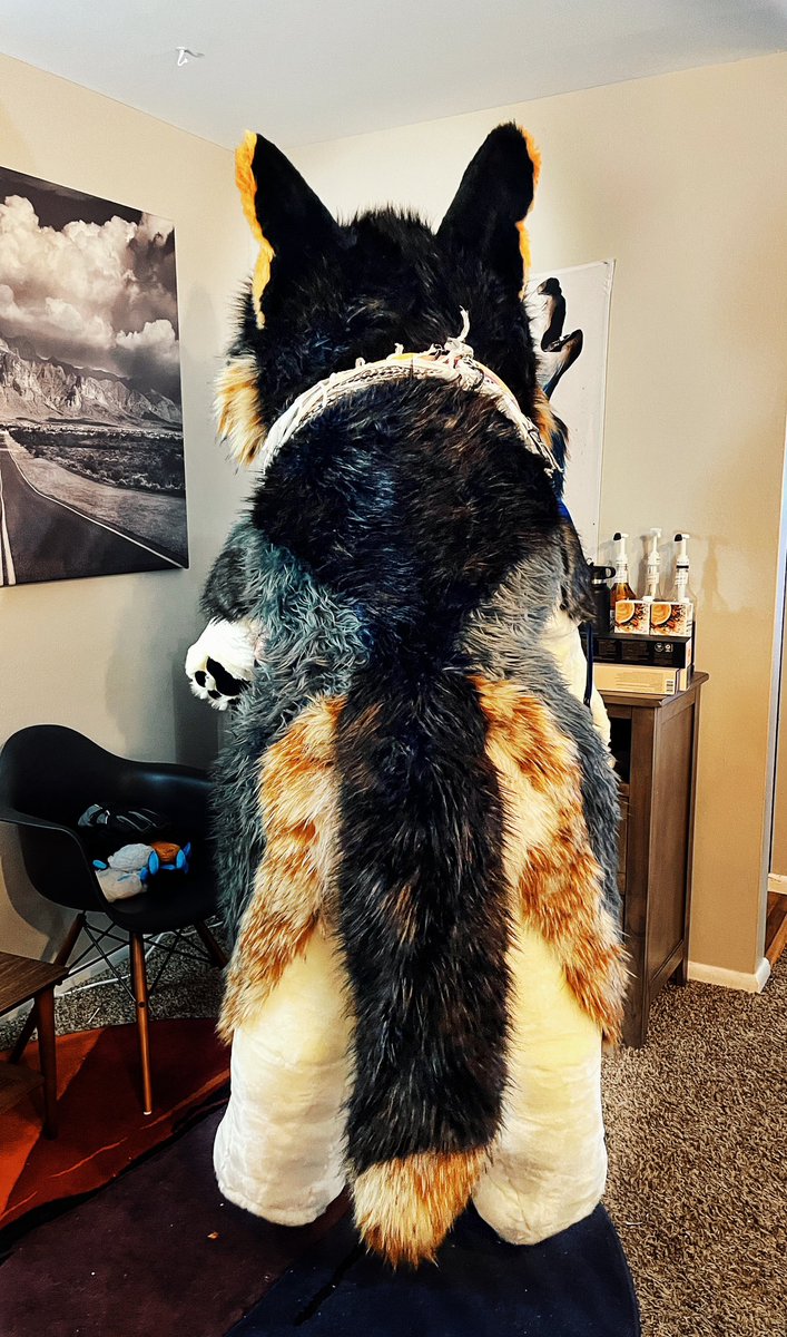 Cactus Dog Fursuits (@cactus_dog) on Twitter photo First look at Giant Werewolf!
Measures in at 6.5ft
This is a project started between me and <a href="/feralfluidfox/">feralfluid.bsky.social</a>
Follow t.me/Snuggletooth
For updates and when you can get one First look at Giant Werewolf!
Measures in at 6.5ft
This is a project started between me and <a href="/feralfluidfox/">feralfluid.bsky.social</a>
Follow t.me/Snuggletooth
For updates and when you can get one