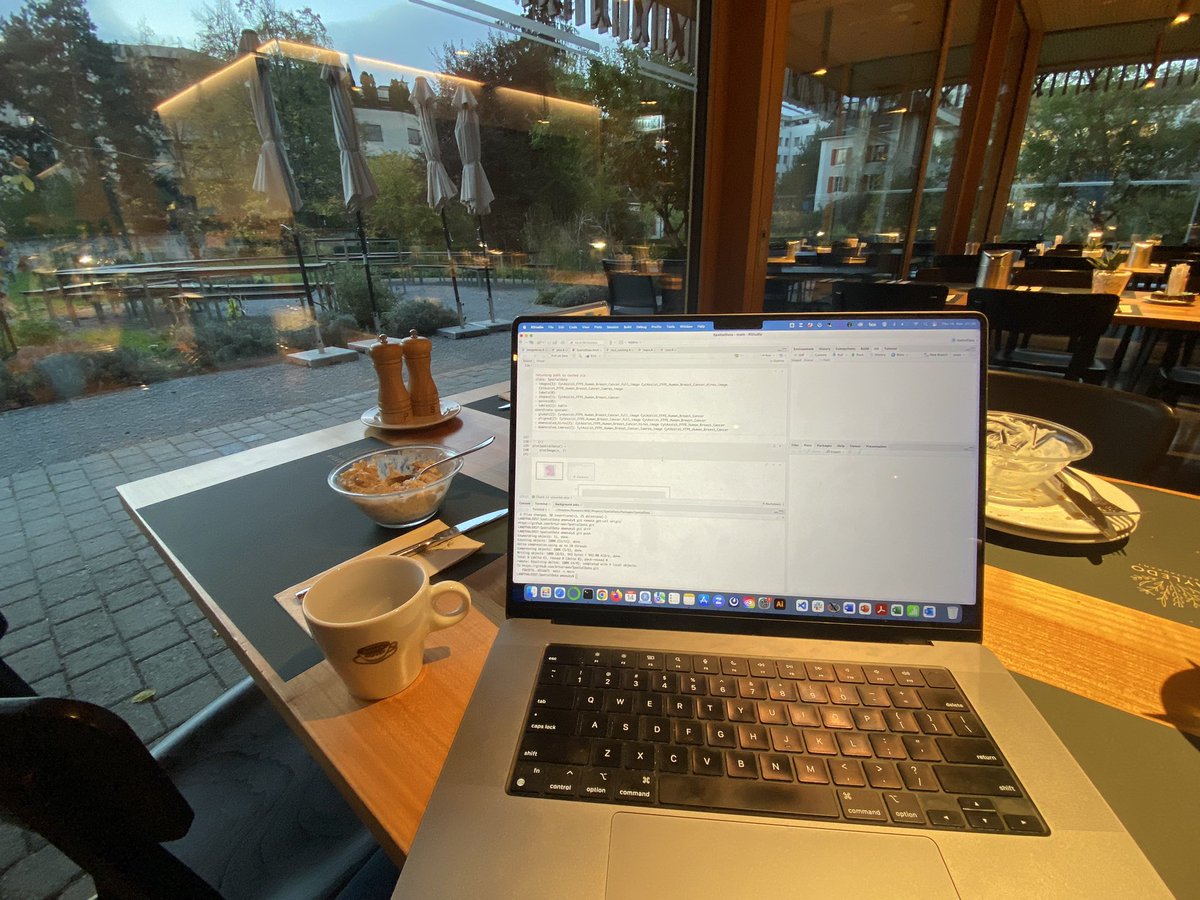 arturman_sl's tweet image. Some chill coding on a beautiful basel morning after a fierce day of Hackathon!! #basel #scverse #bioconductor