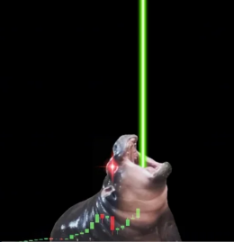 Bluntz (@bluntz_capital) on Twitter photo 