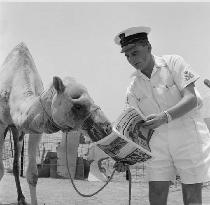 عدن الزمن الجميل ❤