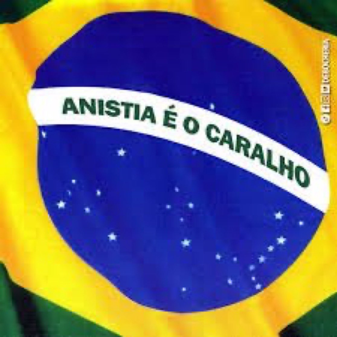 Depois do atentado bozoloide em Brasília, adeus anistia e vem Xandão tratorizar os golpistas.