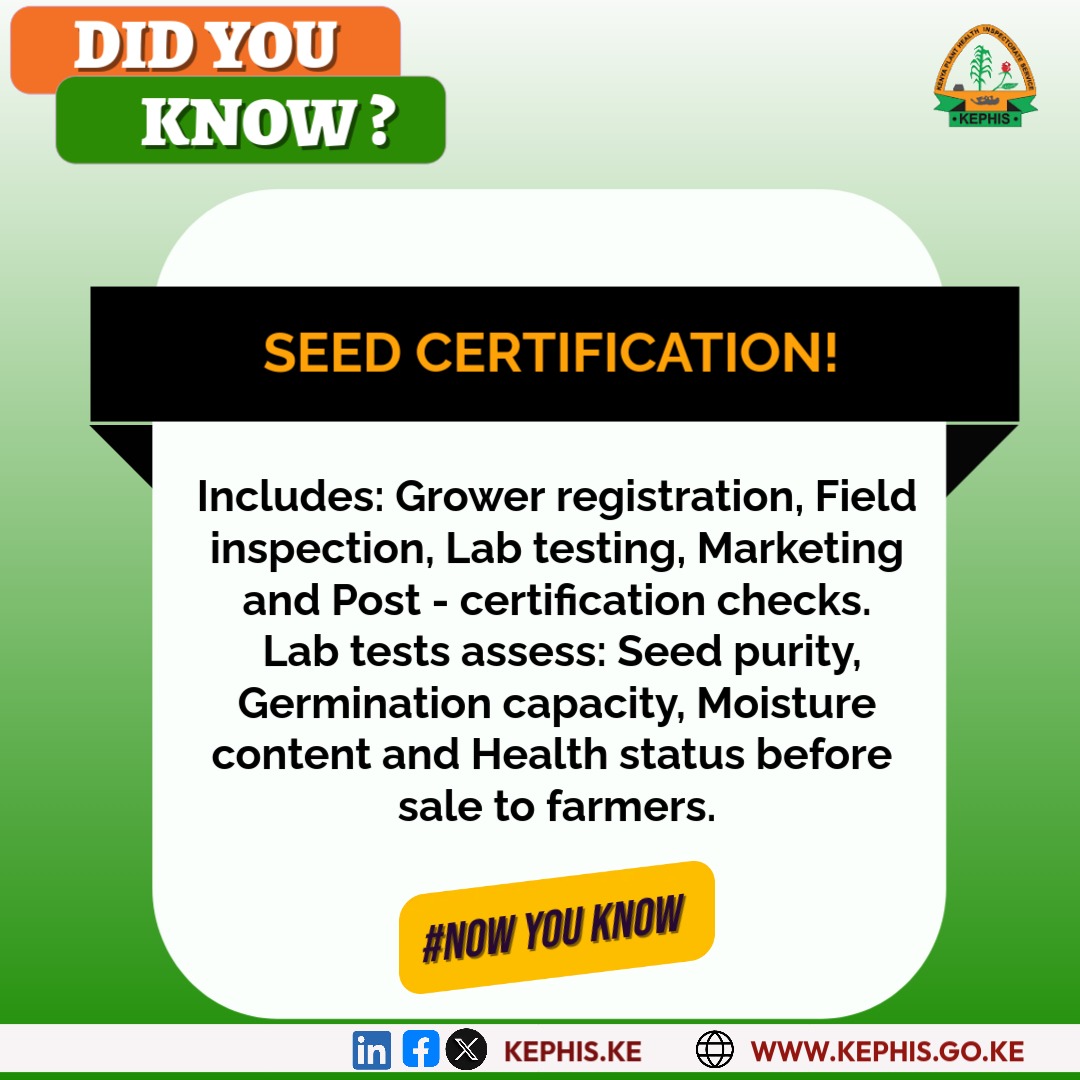 KephisKe's tweet image. This week on our series of 𝐝𝐢𝐝 𝐲𝐨𝐮 𝐤𝐧𝐨𝐰 we delve deeper into 𝐒𝐞𝐞𝐝 𝐂𝐞𝐫𝐭𝐢𝐟𝐢𝐜𝐚𝐭𝐢𝐨𝐧!

#SeedCertification
#HighYields
#FoodSecurity
#farmer
#Qualityagriinputsandproduce