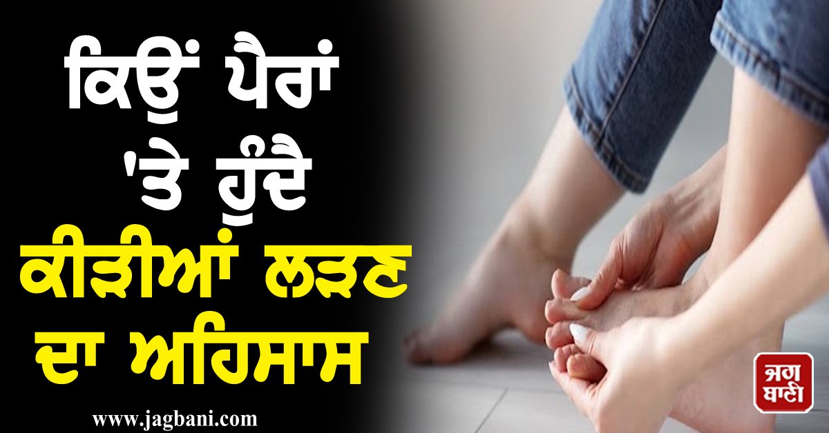 JagbaniOnline's tweet photo. ਕਿਉਂ ਪੈਰਾਂ 'ਤੇ ਹੁੰਦੈ ਕੀੜੀਆਂ ਲੜਣ ਦਾ ਅਹਿਸਾਸ, ਜਾਣੋ ਇਸਦੇ ਲੱਛਣ, ਕਾਰਨ ਤੇ ਬਚਾਓ ਦੇ ਤਰੀਕੇ
https://t.co/AM4BgNPTai
#HealthDesk #HealthyLifestyle #TheFeelingofFightingAnts #KnowtheSymptoms #Car #PreventionMethods https://t.co/Z3tyaDrsMc
