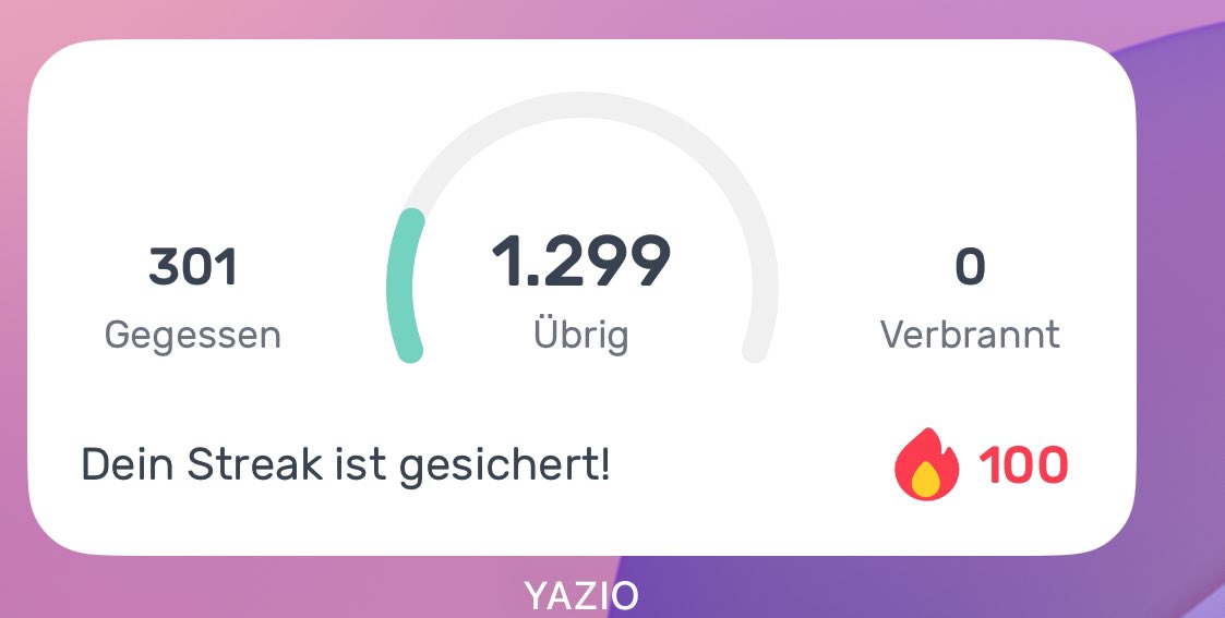 tag 100 vom kalorien tracken geschafft
