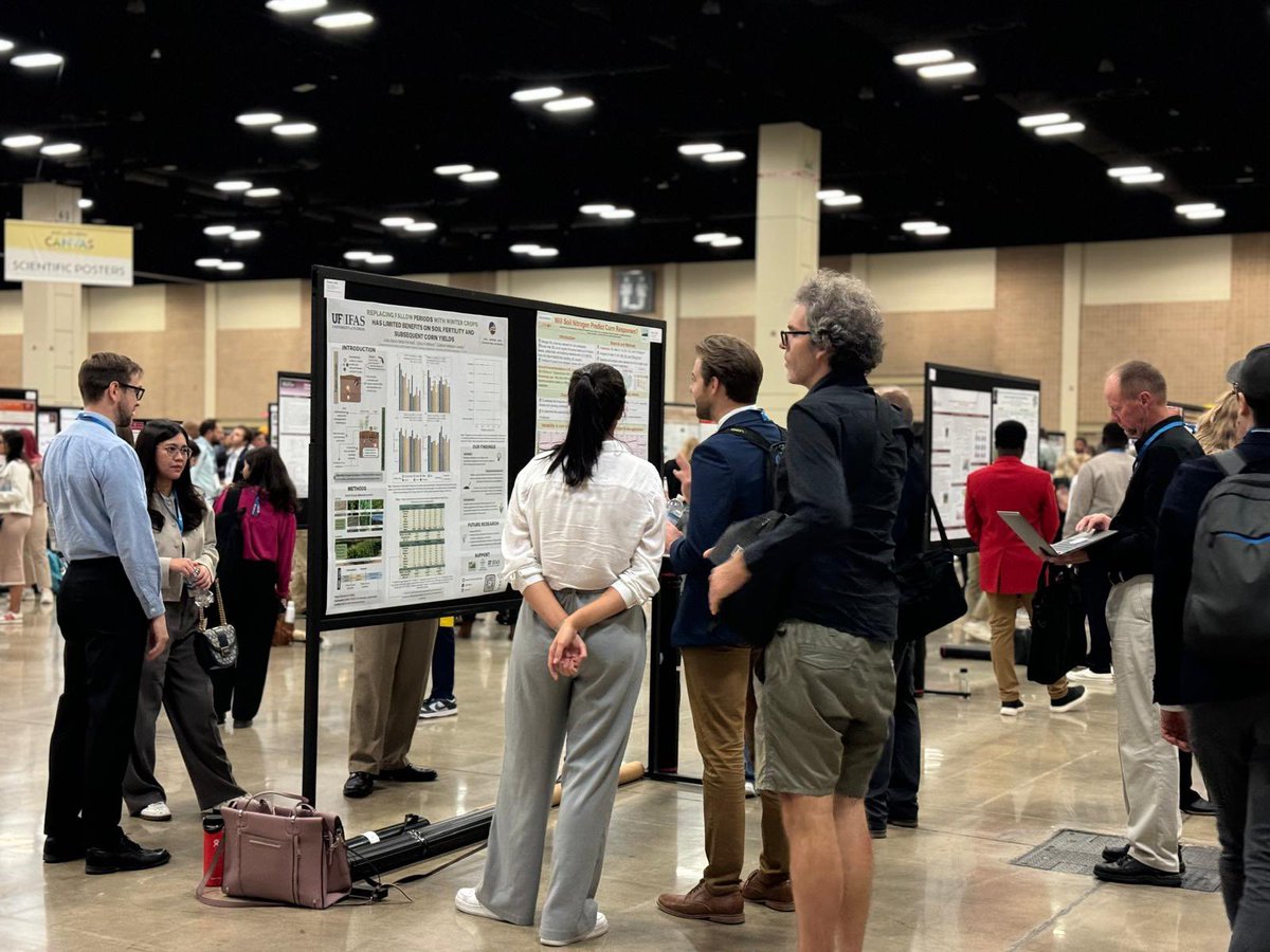 Julia Barra Netto-Ferreira tweet media