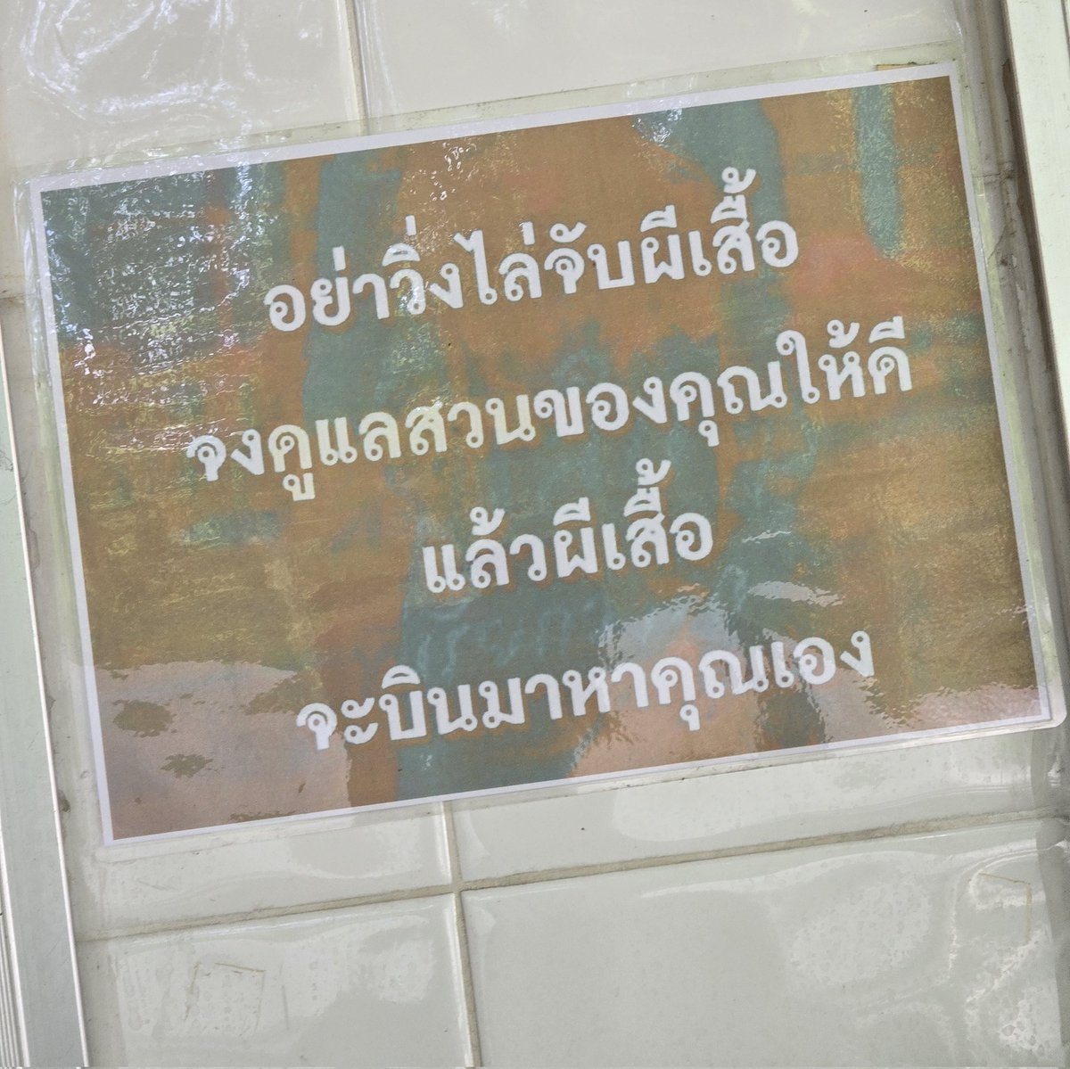 ตุ๊ดเถื่อน tweet media