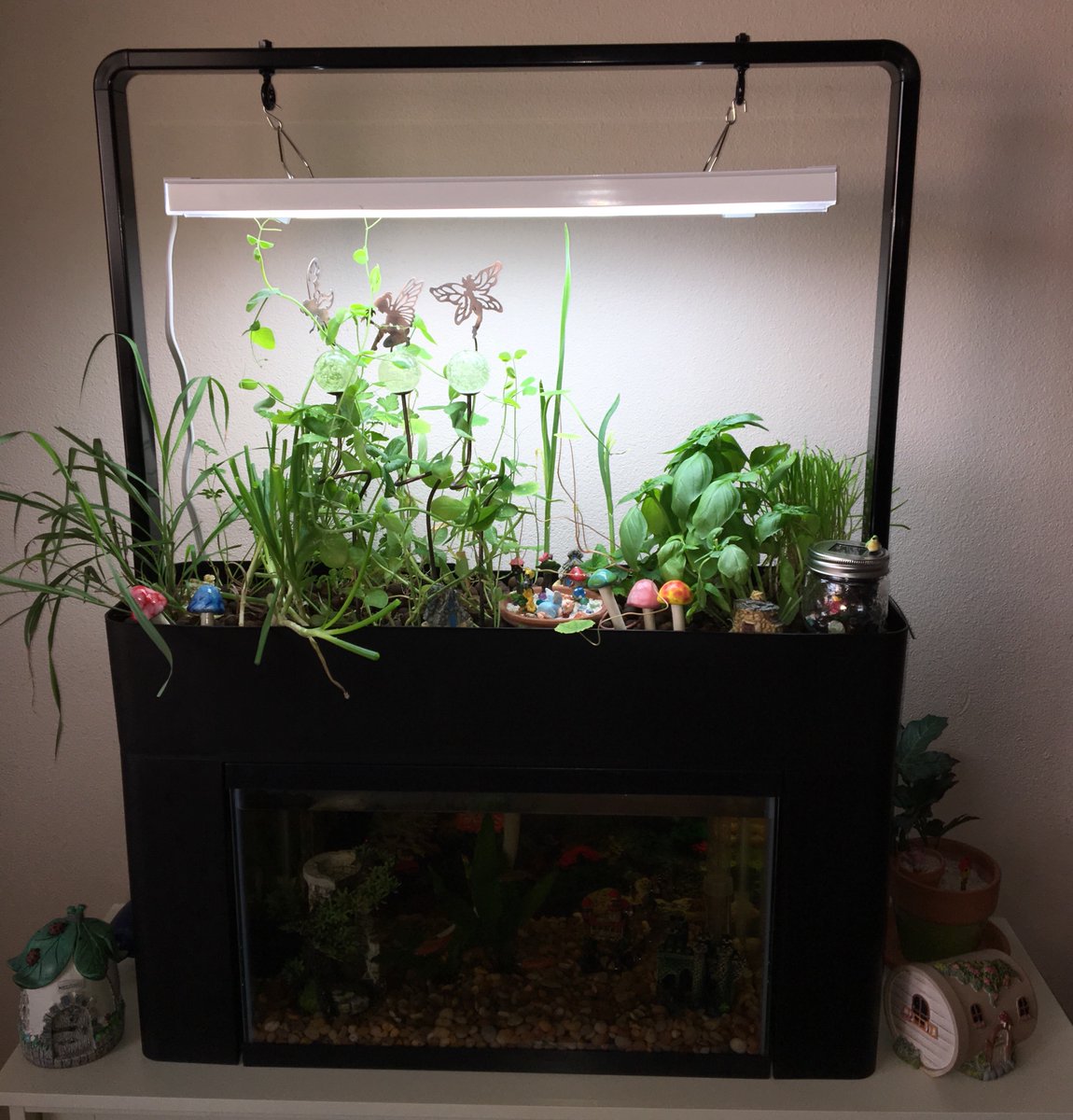 Add a splash of personality to your AquaSprouts Garden with colorful stones, mini decor, or plants that pop! Make it as unique as you are—bright accents and creative touches will turn it into an eye-catching piece. Let’s see how you style your space!