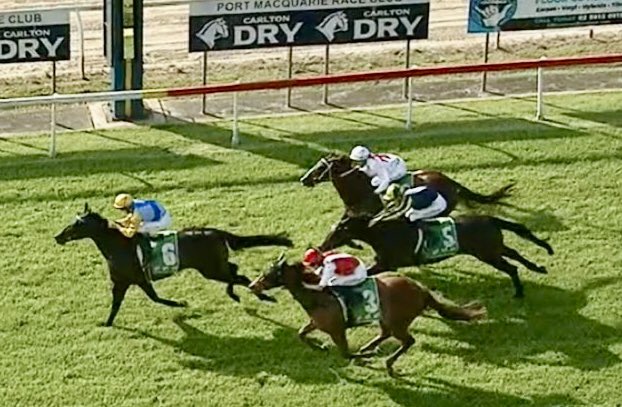 kimwaugh6's tweet image. Mizella overcame a slow start to break her maiden at just start no 4 with Matthew McGuren in the saddle today @port_races 👏👏 👏👏Congrats to Bryan &amp;amp; Dee Black &amp;amp; Jonathan who purchased this daughter of Too Darn Hot from @mmsnippets @DarleyStallions #welldoneteam 🥳👏🏇🏇