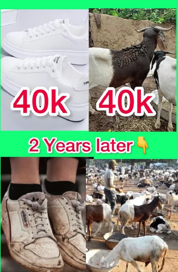 ᴘᴜʟʟʏ tweet media
